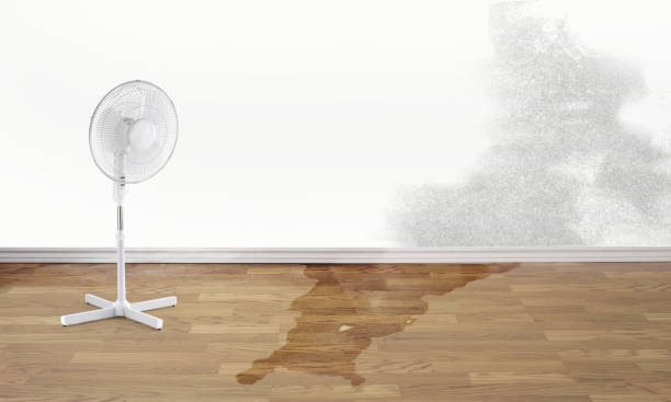 Best Sewage cleanup and water damage restoration  in Eagle, ID